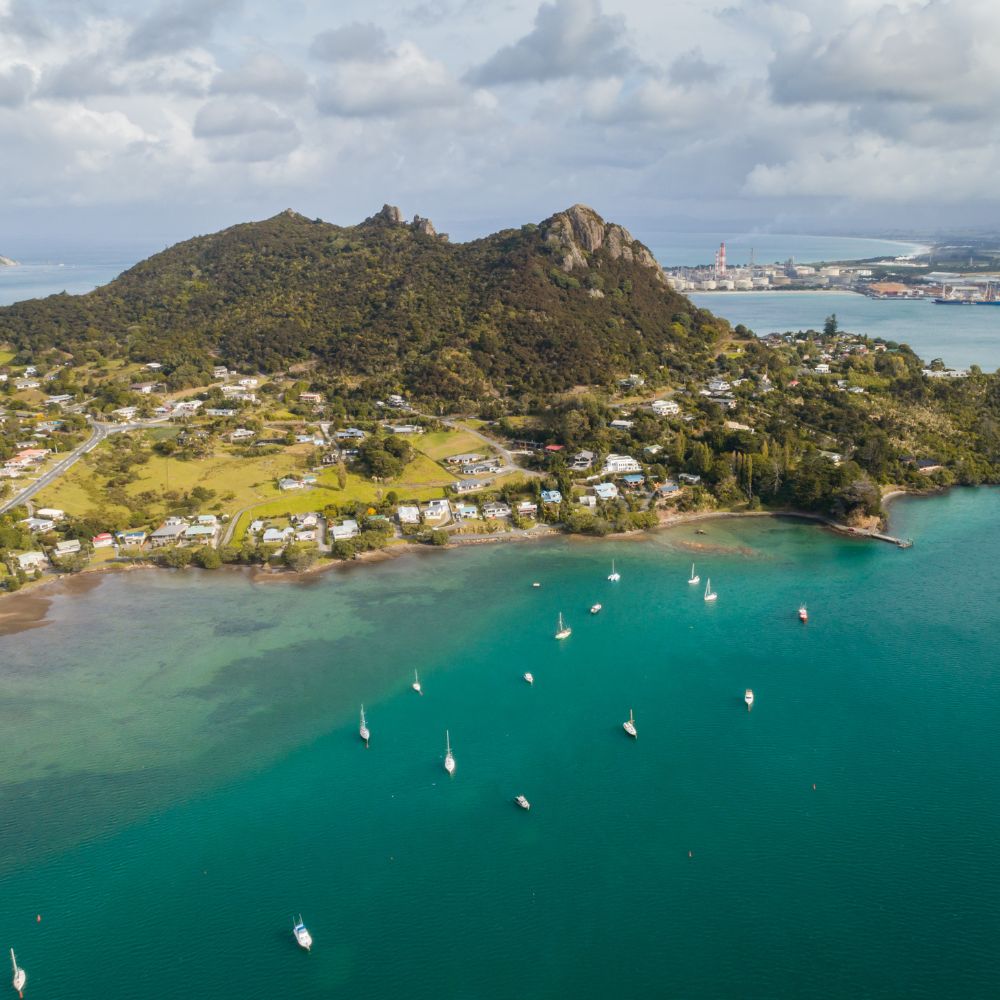 NZ scenery picture