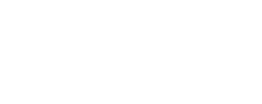nz map outline